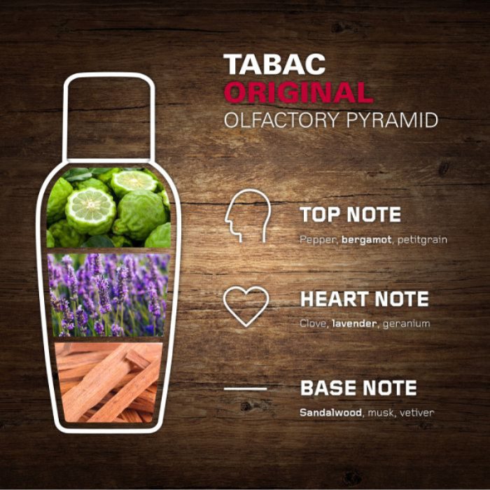 tabac original olfactory